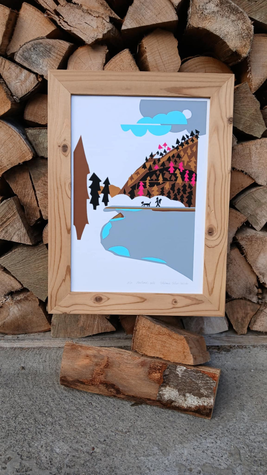 Montriond, gelé _ Alpes, France