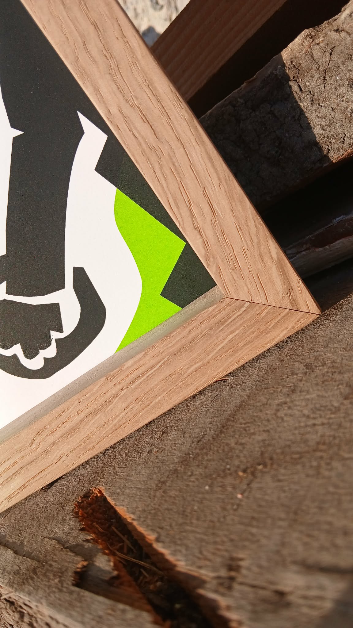 Pic de Nore _ Carcassonne, France