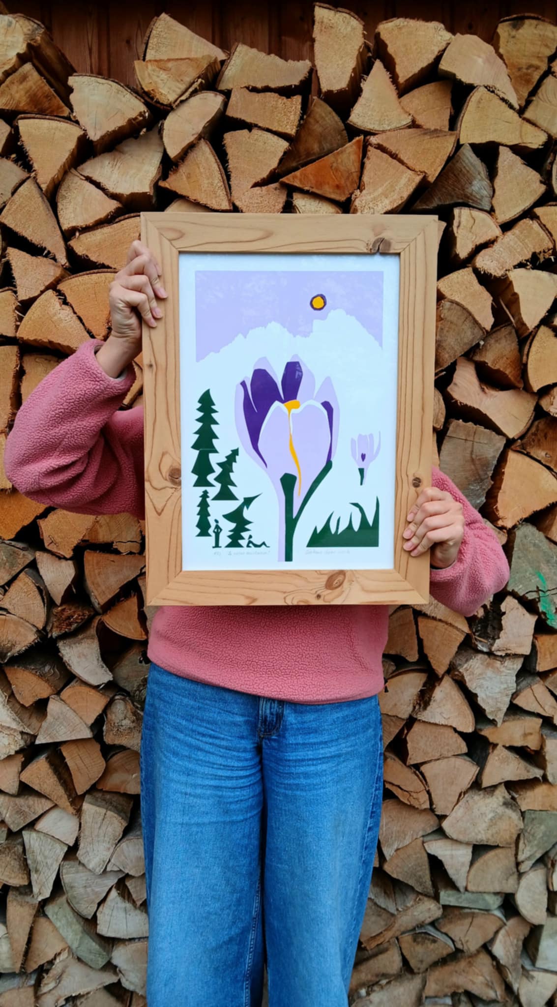 Le crocus _ Alpes, France