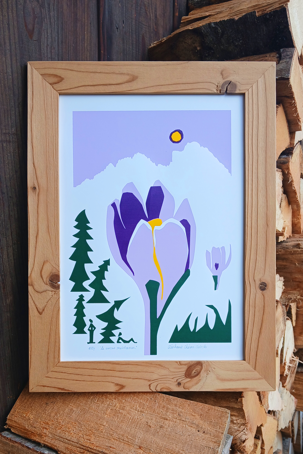 Le crocus _ Alpes, France